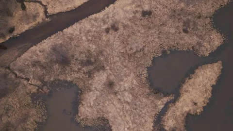 Lake Eau Claire drone view of backwaters Stock Footage 306902294