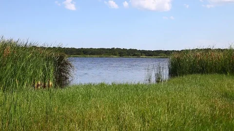 Lake Eddleman in Texas Stockbeeldmateriaal 77889932