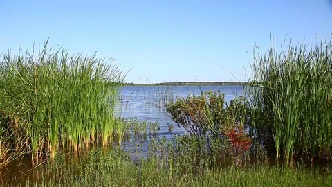 Lake Eddleman in Texas Stock Footage 77889950