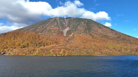 Lake Edge | Dead Tree | Autumn Leaves | Environment - 4K Aerial Video Video stock 329052751