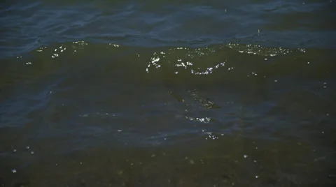 Lake edge, small waves break at shoreline HD Stock Footage 36937058