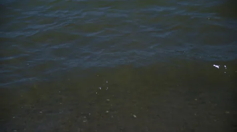 Lake edge, small waves break at shoreline 4K Stock Footage 36955732