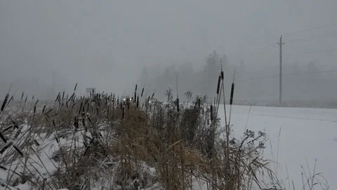 Lake Effect Snow Stock Footage 107143065