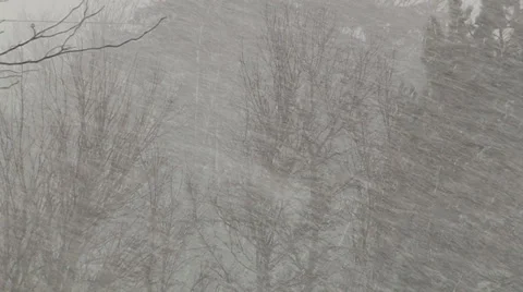 Lake effect snow squall with dangerous blizzard conditions and severe high wind Stock Footage 36702745