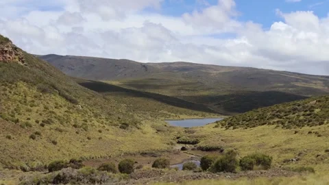 LAKE ELLIS VIEW TIMELAPSE Stock Footage 313752096