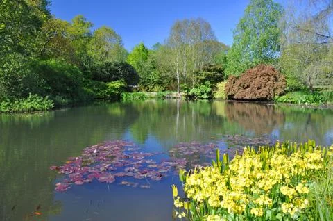 The Lake in an English country garden Stock Photos