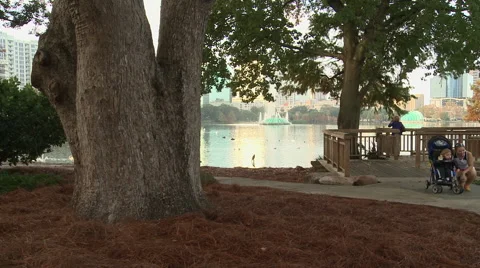 Lake Eola Park Stock Footage 44754362