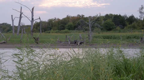Lake in the evening 1 Stock Footage 31281111
