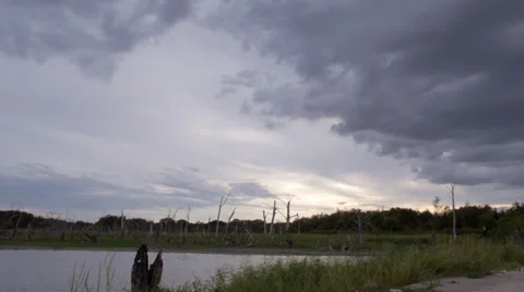 Lake in the evening 3 Stock Footage 31276317