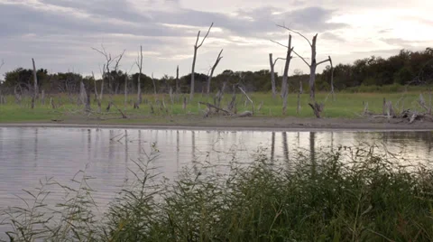 Lake in the evening 4 Stock Footage 31275632