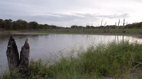 Lake in the evening 5 Stock Footage 31272644