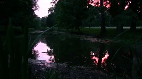 Lake in the evening in the park, beautiful reflection of sunset in the water Stock Footage 53102595