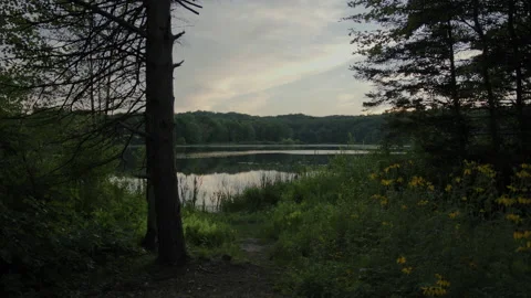 Lake In The Evening Tilt Down Stock Footage 168652417