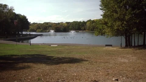 Lake In The Fall and ducks in it Stock Footage 243615100