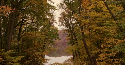 Lake with Fall Foliage Stock Footage 141766832