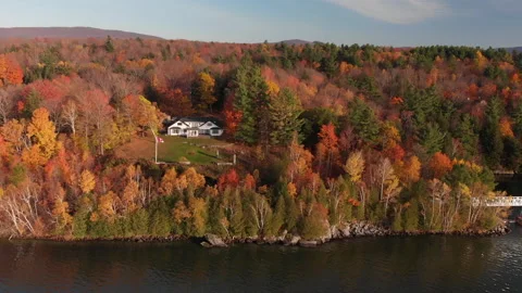 Lake fall forest aerial drone at dawn lakeside homes Stock Footage 169241802