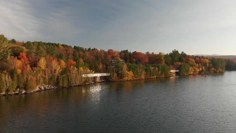 Lake fall forest aerial tracking shot along shore Stock Footage 169237243