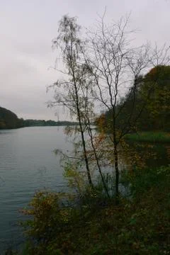 Lake with fall tree in foreground. Stockfoto's