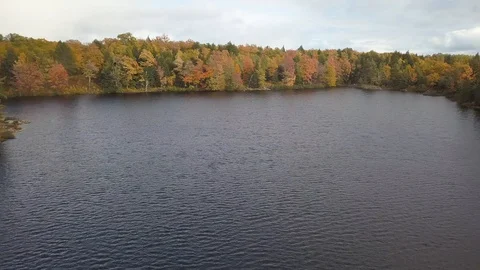Lake to fall trees Stock Footage 100126066