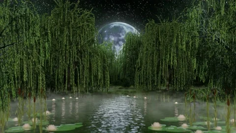 Lake in fantasy forest Video stock 172334699