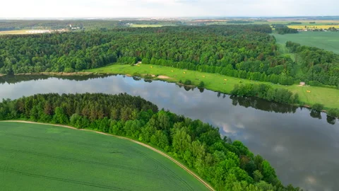 Lake at field. Freshwater Lakes. 스톡 동영상 197116653