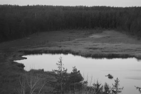 Lake in the field Stock Photos