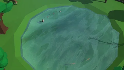 Lake with Fish and Ducks 3D Low poly animation Stock Footage 211809064