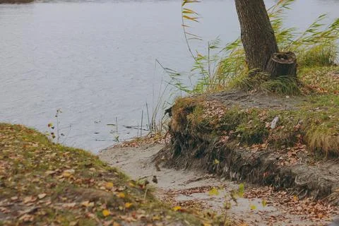 A lake to fish in the fall Stock Photos