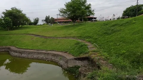 Lake with fish on a farm Stock-Footage 251025052