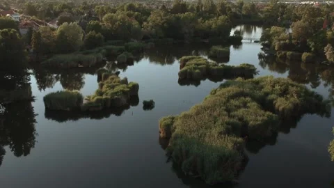 Lake flight at summer sunset 動画素材 144700528