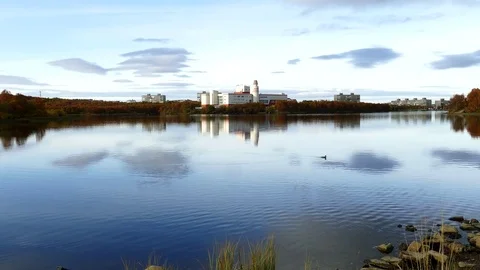 A lake with a floating duck on a background of a picturesque cloudy sky. Stock-Footage 83155457