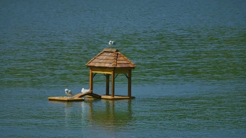 Lake with a floating pavilion Stock Footage 99920841