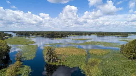 Lake in Florida Stock Photos
