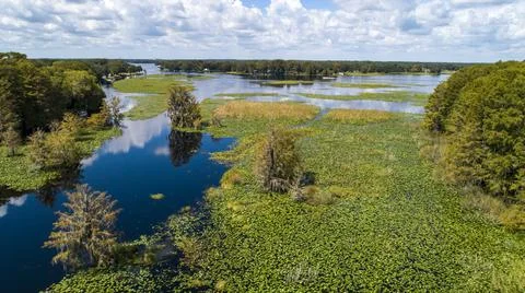 Lake in Florida Stock Photos