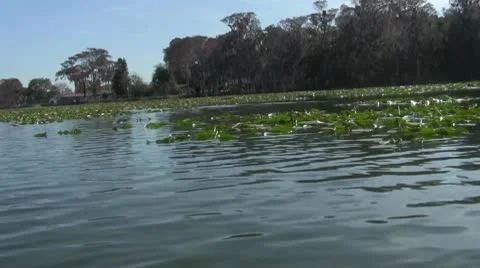 Lake Florida Speedboat Vidéo 10761745