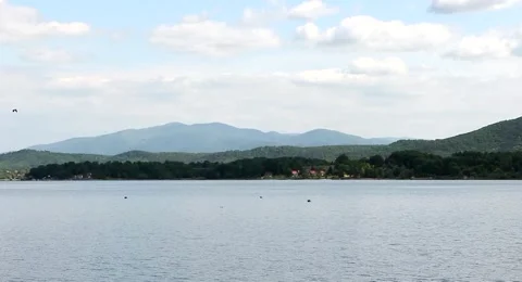 Lake with flying bird Stock Footage 49968045