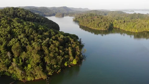 Lake Flyover Stock Footage 116567914
