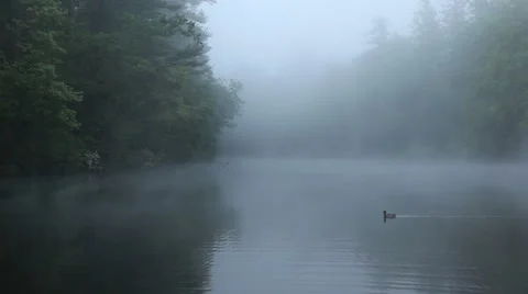 Lake Fog Stock Footage 954047