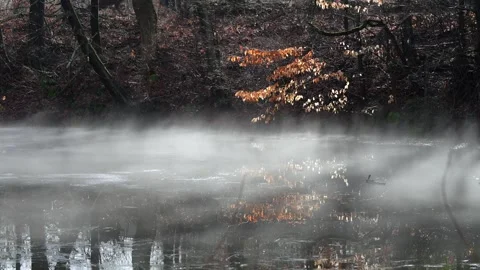 Lake Fog Stock Footage 297016345