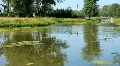 Lake HD Footage