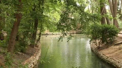 The lake 库存影片 730577