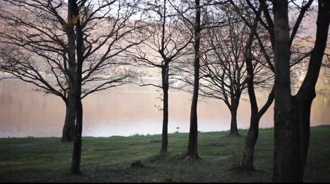 Lake Stock Footage 922272