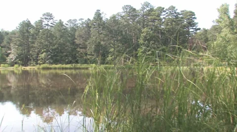 Lake Stock Footage 976413