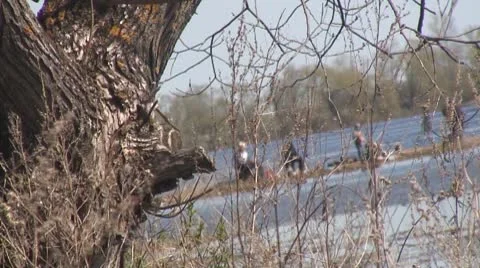 Lake 库存影片 8911898