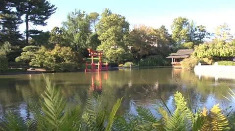 Lake Stock Footage 10775467