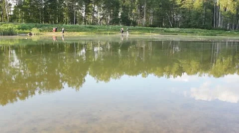 Lake Video stock 12449957