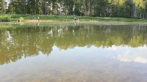 Lake Stock Footage 12450016