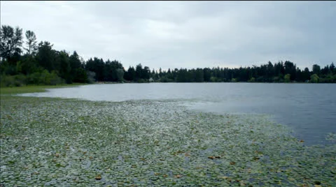 On the Lake Stock-Footage 25823457
