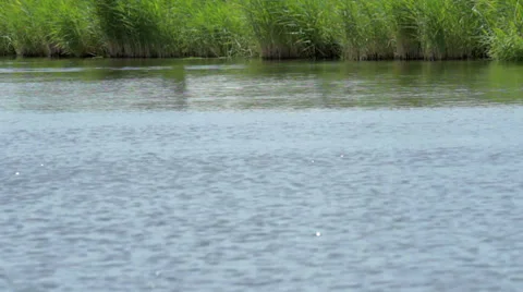 Lake Stock Footage 30645493