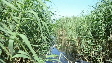 On the lake Stock Footage 36258472
